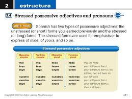Spanish Has Two Types Of Possessive Adjectives The