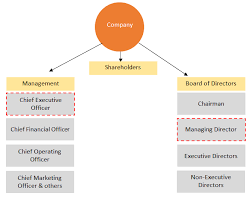 chief executive officer vs managing director top 5