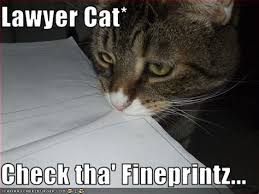 High quality lawyer cat memes gifts and merchandise. Lawyer Cat Memes