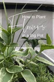 The main flower acts as a guide for positioning the other. How To Plant Flowers In A Big Pot Michael Helwig Interiors