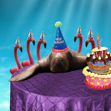Bishop Museum Of Science And Nature Events Happy 65th Birthday Snooty Happy 65 Birthday Happy 67th Birthday South Florida Museum