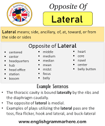 Find out all about flicker : Opposite Of Lateral Antonyms Of Lateral Meaning And Example Sentences English Grammar Here