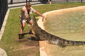 The late crocodile hunter steve irwin always appeared game for any wild encounter, but even he australian zookeeper steve irwin, better known in popular culture as the crocodile hunter, quickly. 41 Little Known Facts About Steve Irwin The Great Crocodile Hunter