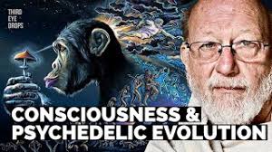 Consciousness, Spirituality & Stoned Ape Theory