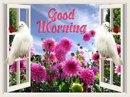 good morning photo के लिए इमेज परिणाम