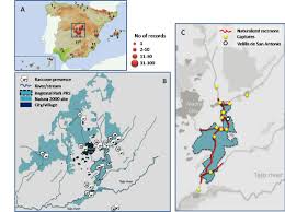 The volga, the longest river in europe, unites a huge region of european russia; A Map Showing Records Of Raccoon In Spain Size Of Dots Is Proportional Download Scientific Diagram