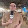 Local Agricultural Fairs Spotlight Genetic Improvement and Business Growth in Brazil