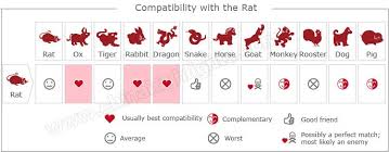 Rat Rat Zodiac Compatibility