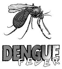 Image result for Dengue