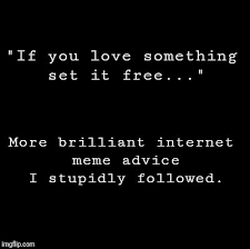 If you love something set it free meme. Blank Imgflip