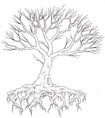 Yes, she said they still had all of the relevant records. Easy Simple Pencil Realistic Easy Simple Pencil Tree Drawing Novocom Top
