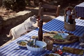 Nella cura del gatto, il ruolo dell'alimentazione va molto oltre il semplice soddisfacimento di un bisogno primario: Alimentazione Di Un Gatto Di 2 Mesi Qual E Il Mio Gatto E Leggenda