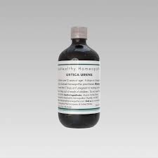 Image result for Urtica urens