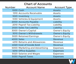 what should you include on your chart of accounts workful