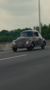 Image result for Pastel Green 1952 Beetle