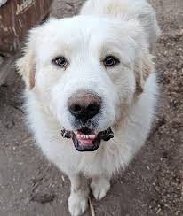 Glad he is gone. Kinda surprised that low of a pick haha see he ain't shit 