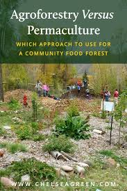 Agroforestry Versus Permaculture In 2020 Permakultur Waldlandschaft Garten
