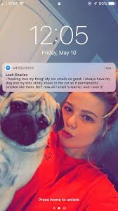 Car Freshie Admiration and Potential Purchase