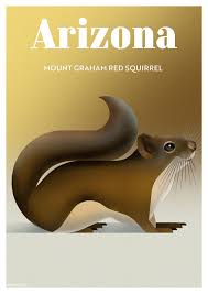 Say the word squirrel and everyone pictures nearly however, there's another type of squirrel; These Nature Posters Show The Most Endangered Species In Each Us State Laptrinhx