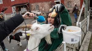 Vi bruker dataene til å forbedre og tilpasse tjenestene, tilbudene og annonsene våre. P3 No Vita Og Wanda Trosset Fobien