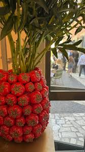 Agatha Luczo's Roman Holiday