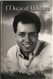 Magical Wishes (Stephen Hobbs)