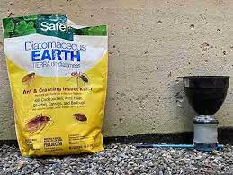 You can also find it online at amazon and walmart. How To Apply Diatomaceous Earth Updated