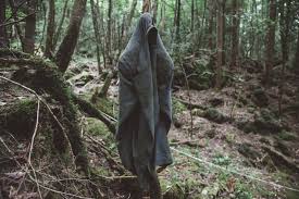 Hanya segelintir saja mayat yg di jumpai. Hutan Aokigahara Hutan Paling Seram Di Dunia Libur