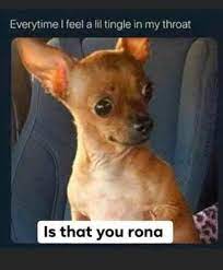 Pin On Funny Pandemic Work From Home 2020