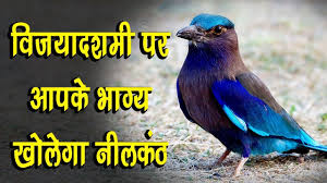 Vijaya Dashmi à¤® à¤ à¤ à¤ à¤ªà¤ à¤· à¤¨ à¤²à¤ à¤  à¤ à¤¦à¤° à¤¶à¤¨ à¤ à¤² à¤ à¤¯ à¤ à¤à¤ªà¤ à¤ à¤¸ à¤®à¤¤ L Livecities Youtube Identify birds in north america for bird watching or as a bird guide. vijaya dashmi à¤® à¤ à¤ à¤ à¤ªà¤ à¤· à¤¨ à¤²à¤ à¤  à¤ à¤¦à¤° à¤¶à¤¨ à¤ à¤² à¤ à¤¯ à¤ à¤à¤ªà¤ à¤ à¤¸ à¤®à¤¤ l livecities