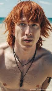 Oceanic Opal Beach Scene