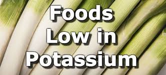 top 10 foods lowest in potassium for people with kidney disease