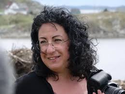 La « capitale des icebergs » n'en compte aucun cette année, où sont-ils?