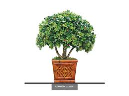 Maybe you would like to learn more about one of these? Azalea Bonsai Plant Artificial Indoor Potted Plant Commercial Silk
