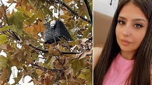 Kavşak projesi iptal edilen yolda hayatını kaybetmişti: Çantası 6 gün sonra  ağaçta bulundu