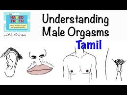 What Is An Orgasm Tamil Youtube One cant find a place for native sanskrit speaking people. what is an orgasm tamil