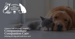 Here at companion animal hospital, we have been providing the highest quality medical care to the pets of the hillsboro area for over 30 years. Bristol Veterinarians Chippens Hill Veterinary Hospital