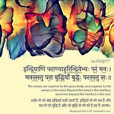 Bhagavad Gita Quotes Bhagavad Gita Sanskrit Quotes Explained In Hindi Sanskrit Quotes Geeta Quotes Hinduism Quotes