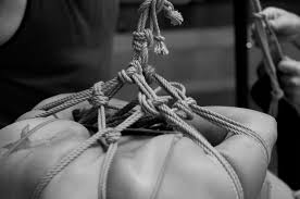 Peter Suber Explores Knots in Bondage