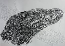 Komodo Dragon Drawn In Pen Pointillism Style A3 Took Many Hours And Too Much Patience Dragao De Komodo Komodo Dragoes