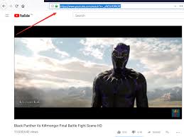 Online Video Downloader From Any Site Free Download Any Videos