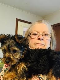 I just joined this group and wanted to introduce myself and my lil precious  girl Mercedes. She is 10 years old and still full of energy and spunk , she  loves everyone.