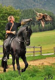 El único en trabajar en tres continentes. Pin By Toni Rodriguez On Equestrian Beautiful Horses Horses Animals Beautiful