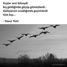 Kuslar Seni Bilseydi Kis Geldiginde Gocup Gitmezlerdi Gulusunun Sicakliginda Gecirirlerdi Tum Kisi Yavuz Yunt Alintilar Ozlu Sozler Alinti Sozler
