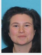 Police search for missing person from Castle Shannon