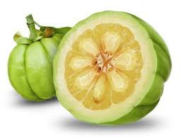 Image result for Garcinia punctata