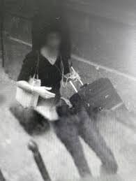 Bildergebnis für Shahin Afrassiabi