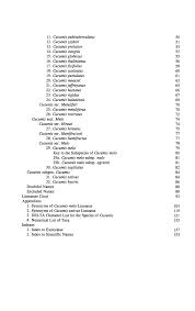 Image result for Cucumis quintanilhae