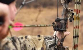 They put almost twenty new bows on the market in 2014 and released five new ones for 2015. Best Compound Bow Reviews For Hunting Deer In 2021