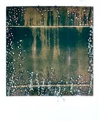 FOTO2994_SP2024_86306_Polaroid